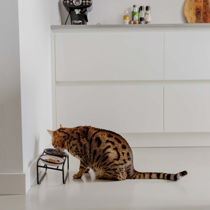 BUTLER Voerbakstandaard voor katten
