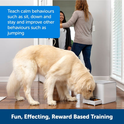 Teach & Treat Fernbelohnungstrainer