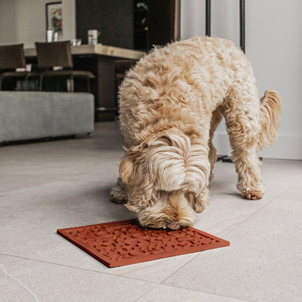 QUEST Lick mat for dogs