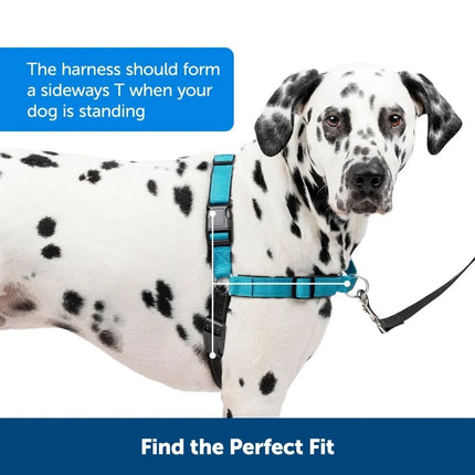 Easy Walk Deluxe Geschirr
