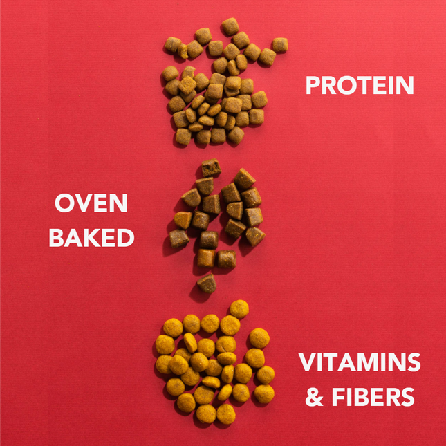 Insektenbasiertes Trockenfutter - Mini