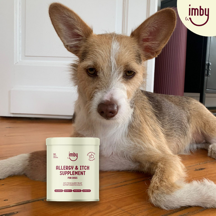 Allergy & Itch - Ergänzungsfuttermittel für Hunde - 270g