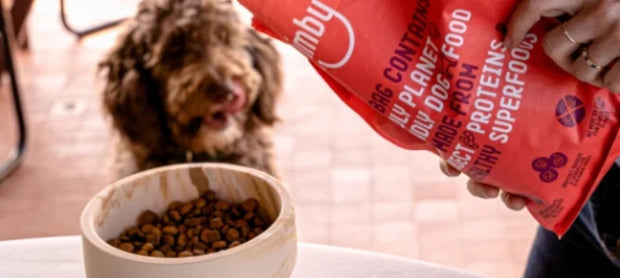 <h4>Fit and healthy, without meat for the dog?</h4>