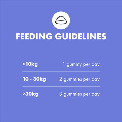 Multifit Plasma Gummies für Hunde