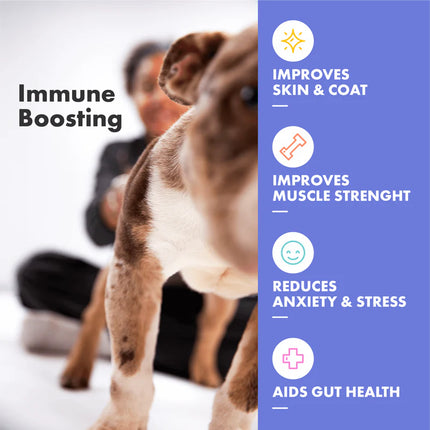 Multifit Plasma Ergänzungsmittel für Hunde