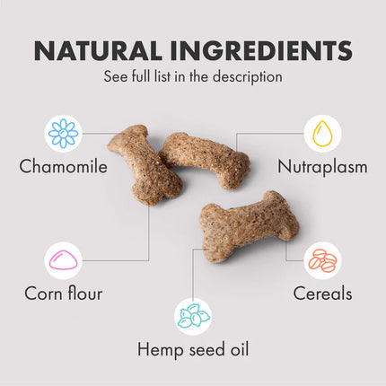 Multifit Plasma Ergänzungsmittel für Hunde