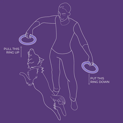 Puller Dog Fitness Tool