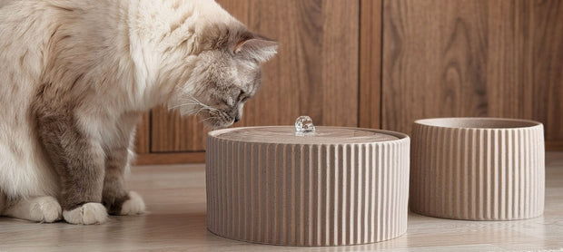 <h4>Design und Gesundheit mit WABI SABI und SENSE Brunnen und Futternäpfen</h4>