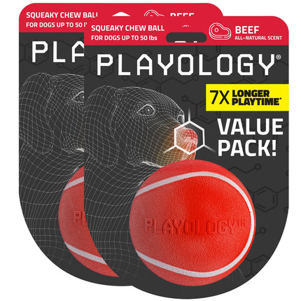 Squeaky Chew Ball