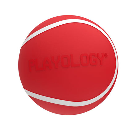 Squeaky Chew Ball
