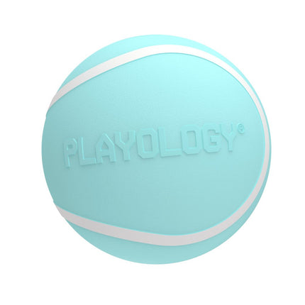 Squeaky Chew Ball