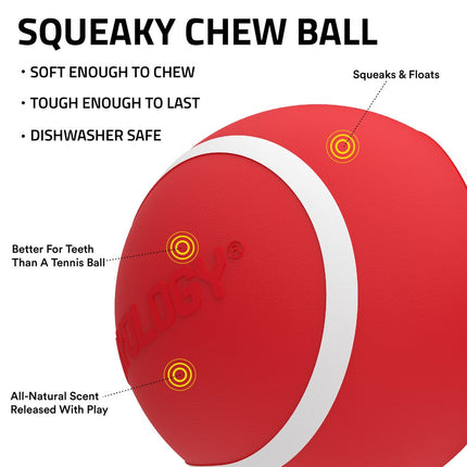 Squeaky Chew Ball