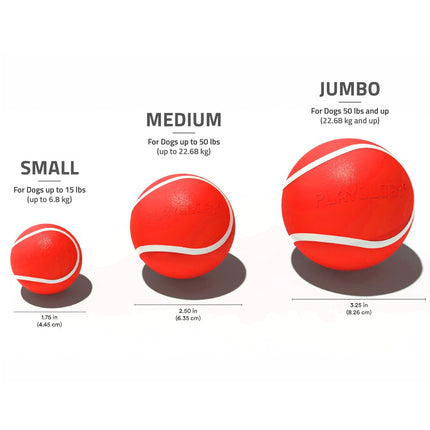 Squeaky Chew Ball