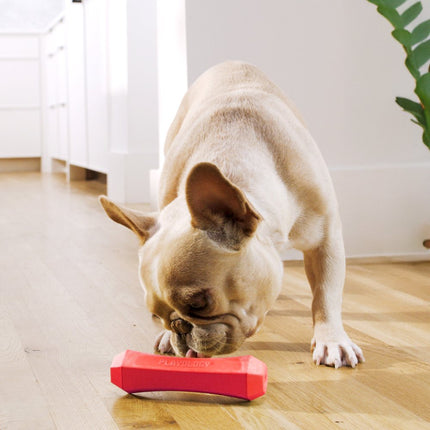 Squeaky Chew Stick