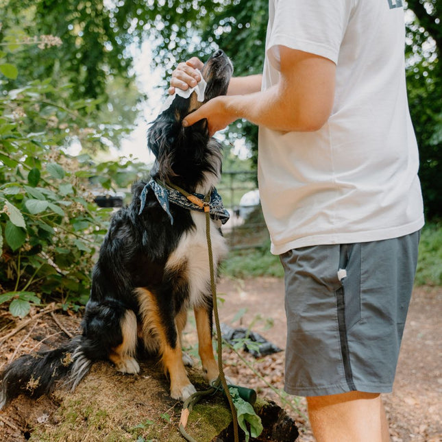 Bamboo Travel Wipes - Unscented - 20 Pack